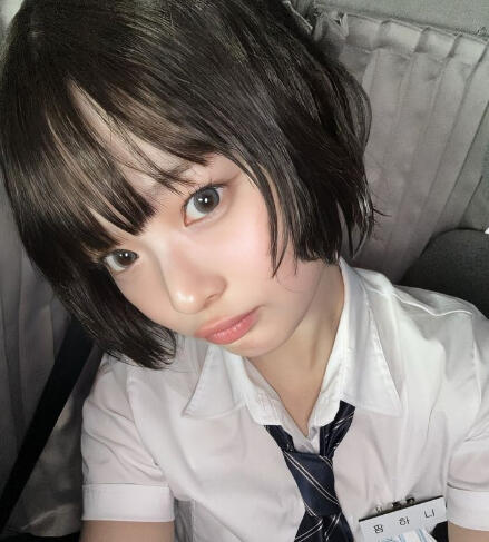 The school crush